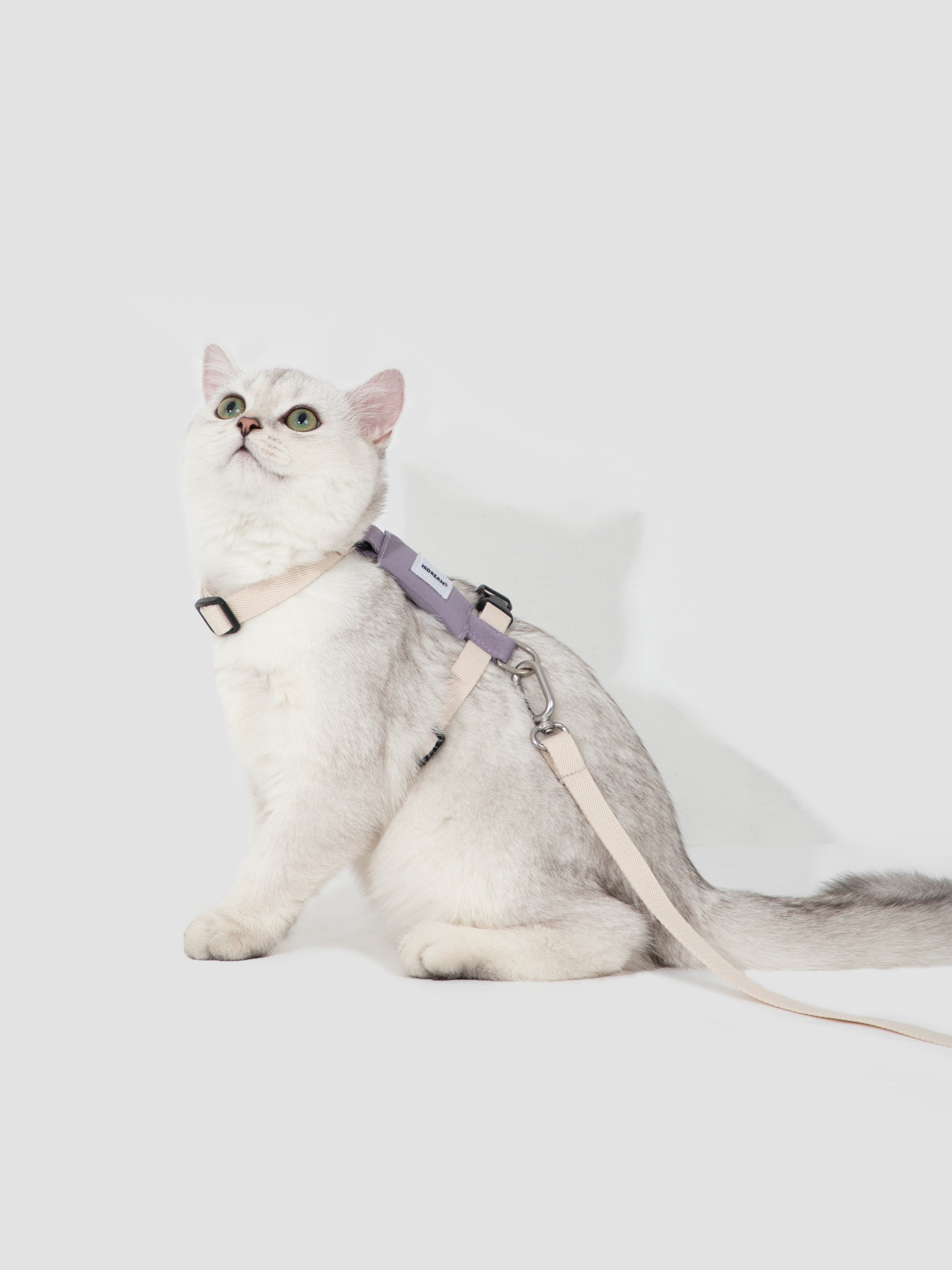 Cat Harness