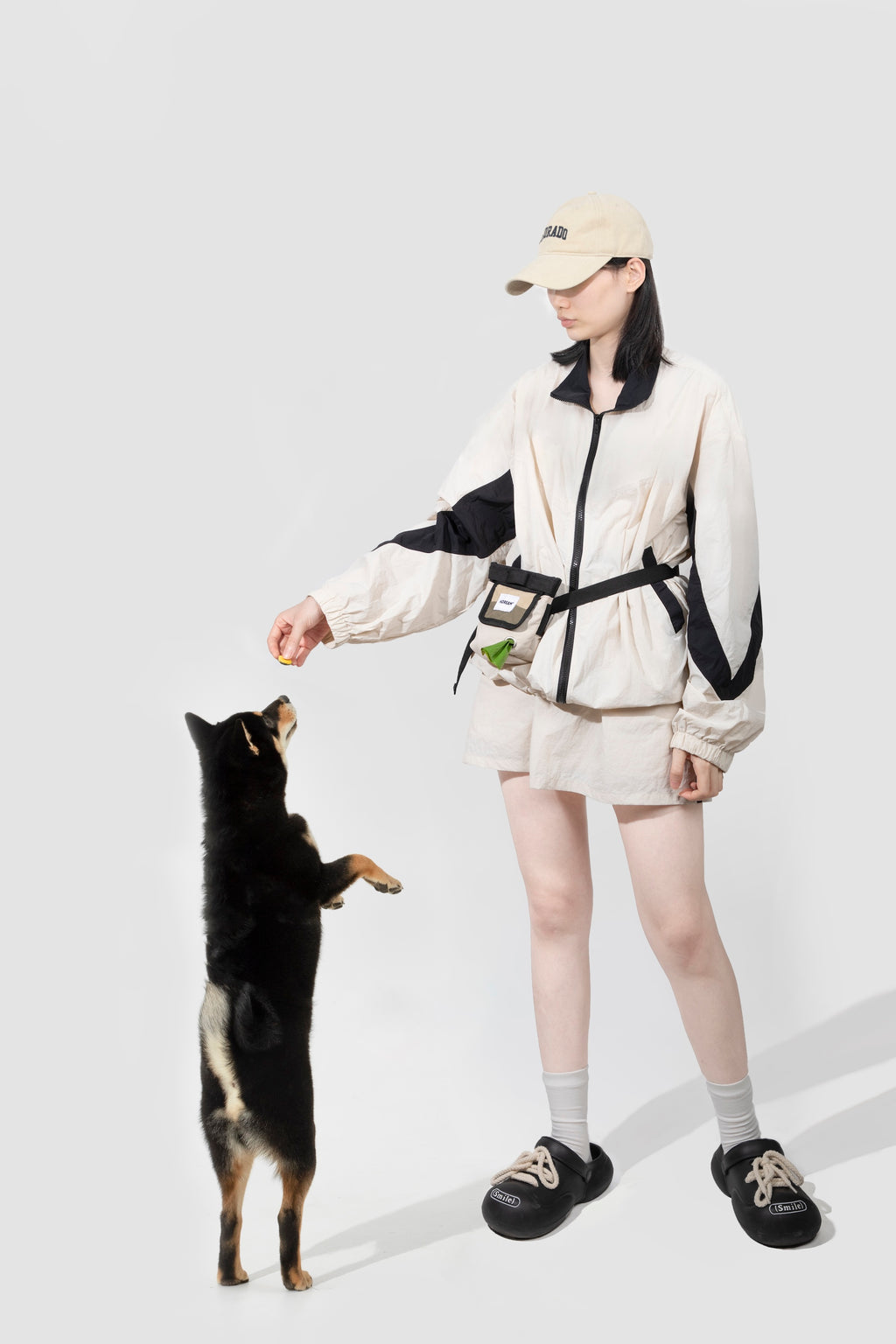 Pet Training Snack Wasit Bag