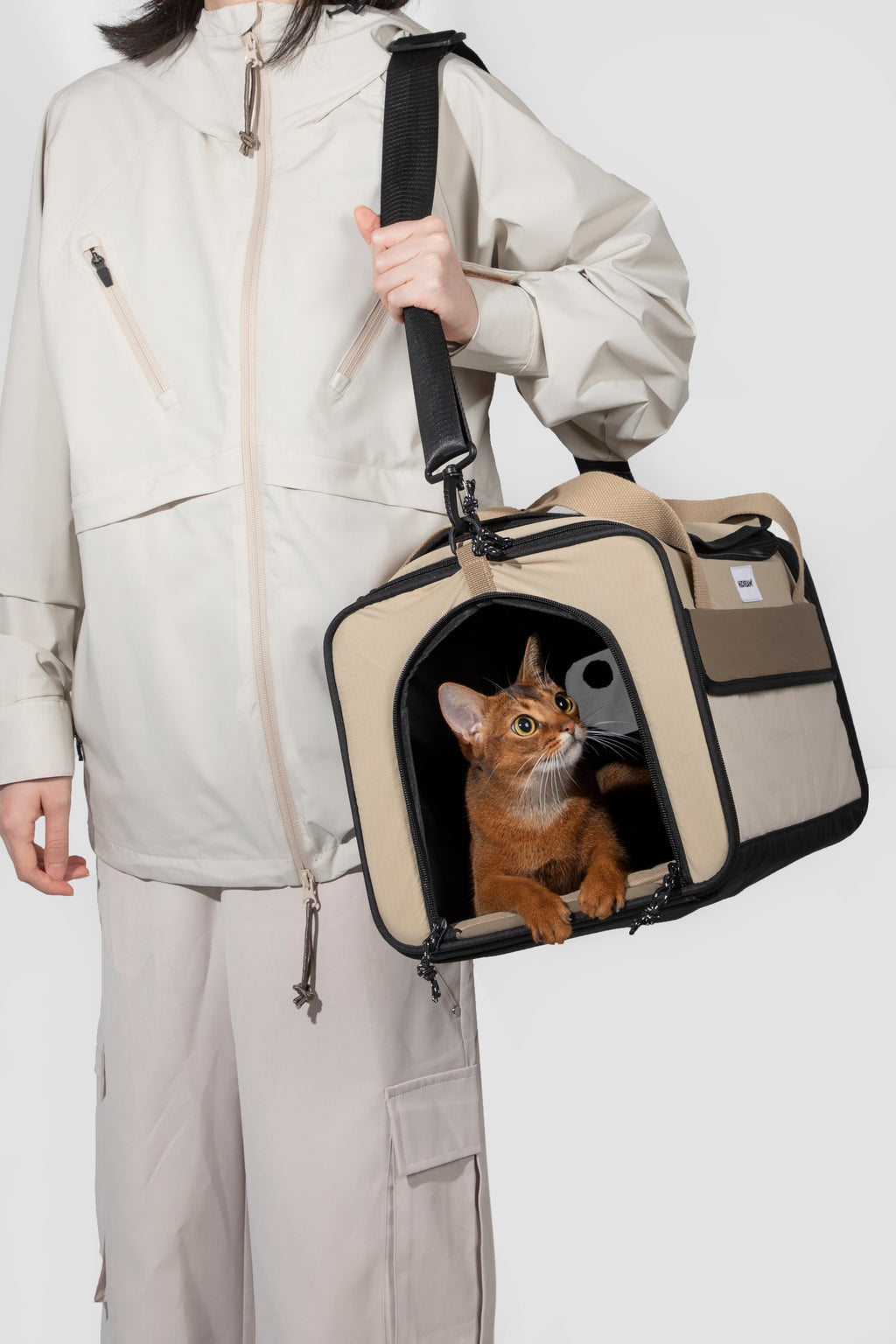 Dog Air Travel Bag