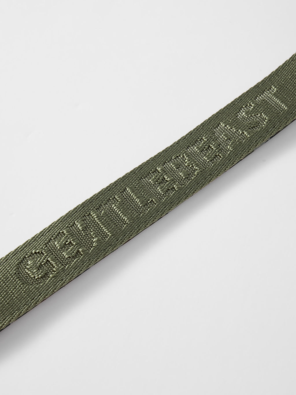 GENTLEBEAST green dog short leash featuring sturdy clips and comfortable grip for confident walks.