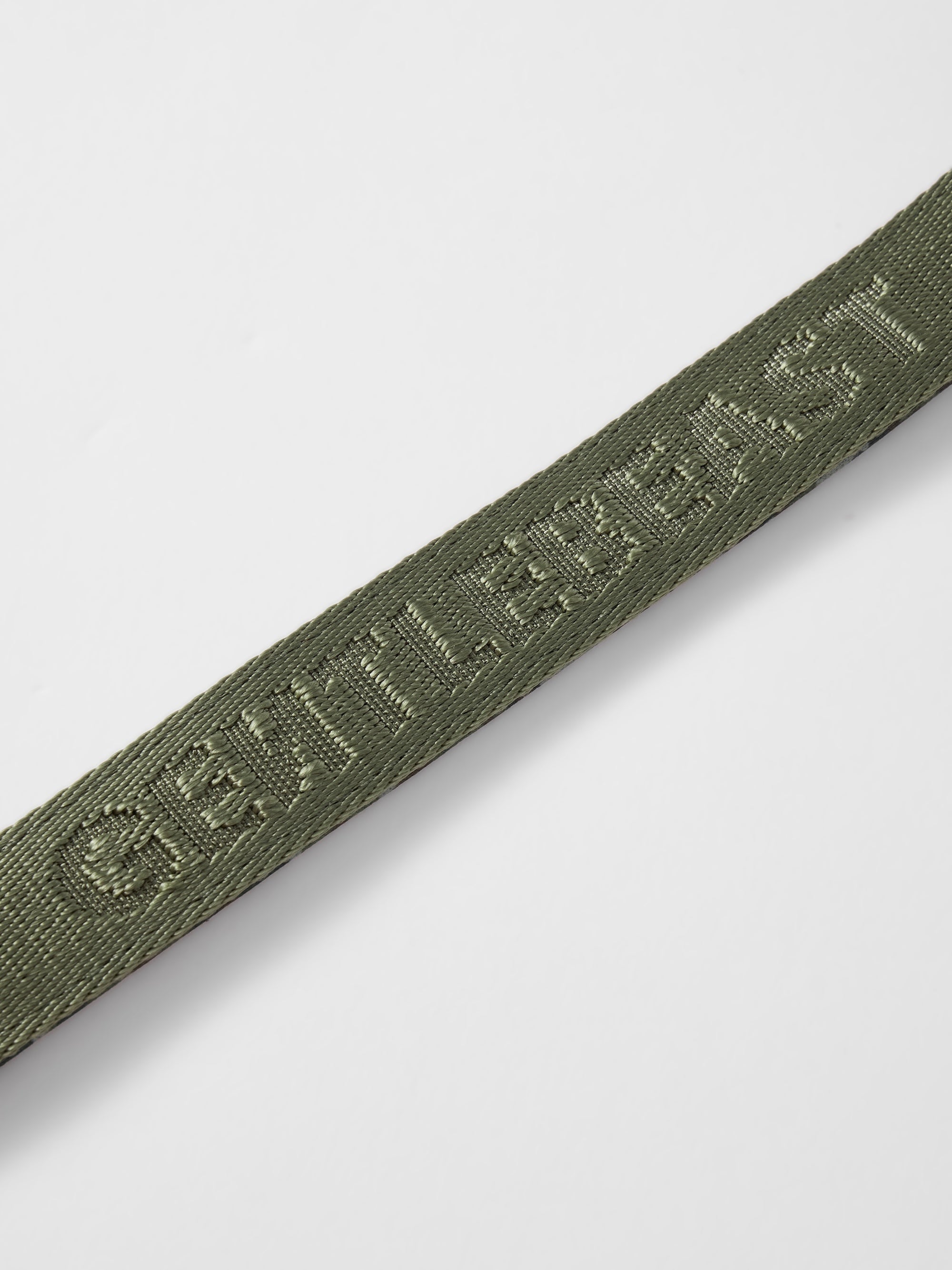 GENTLEBEAST green dog short leash featuring sturdy clips and comfortable grip for confident walks.