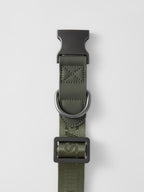 Dog Collar Green - VOF