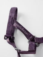 Dog Headcollar Purple - VOF