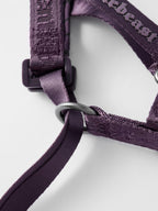 Dog Headcollar Purple - VOF