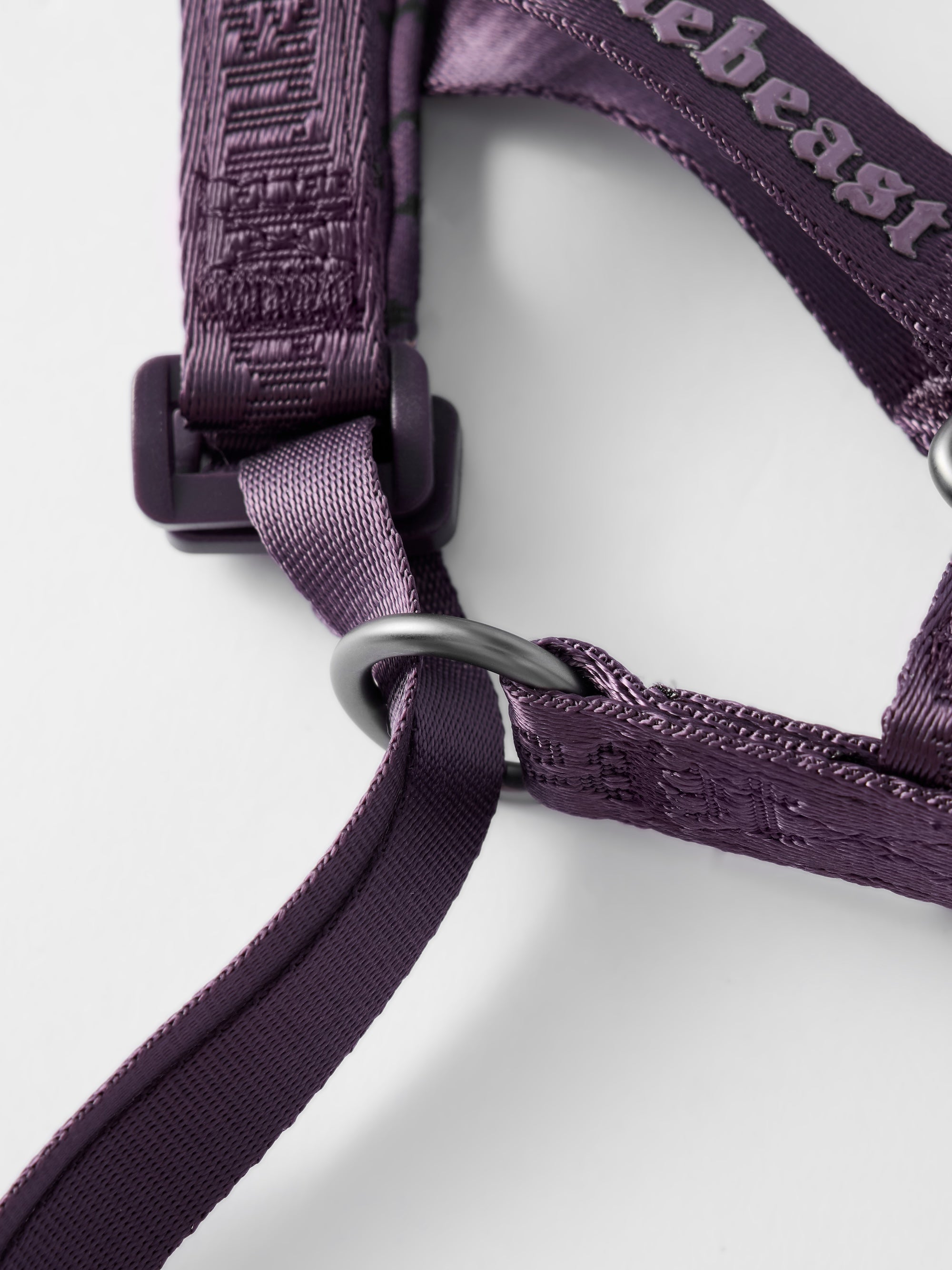 Dog Headcollar Purple - VOF