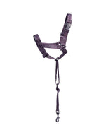 Purple dog harness with a leash on a white background