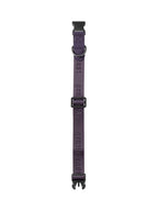Dog Collar Purple - VOF