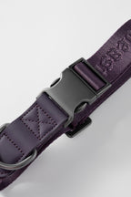 Dog Collar Purple - VOF
