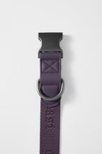 Dog Collar Purple - VOF