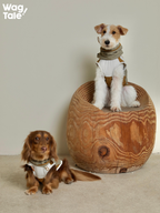 Sun-protective Cooling Dog Vest for Summer