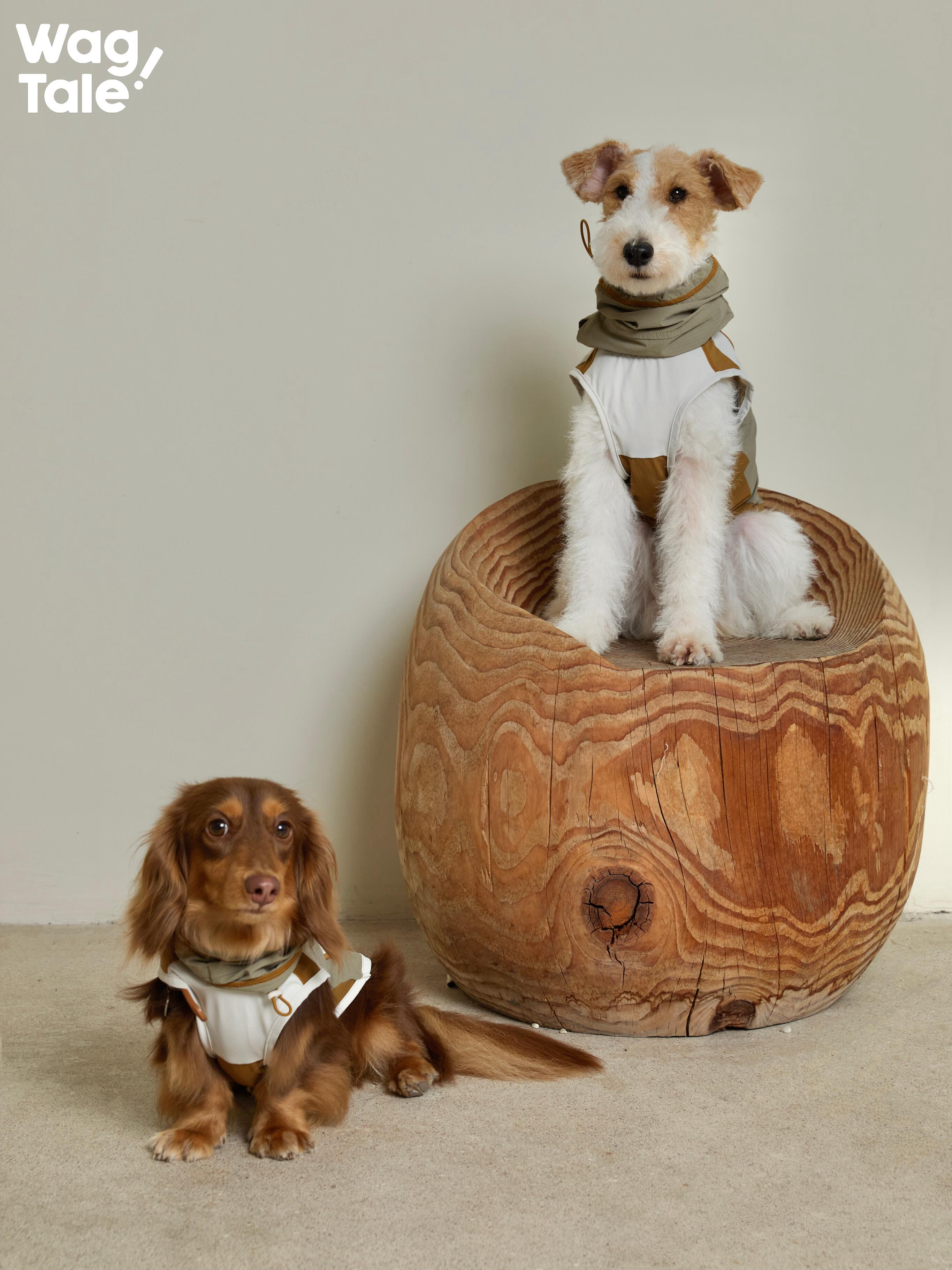 Sun-protective Cooling Dog Vest for Summer