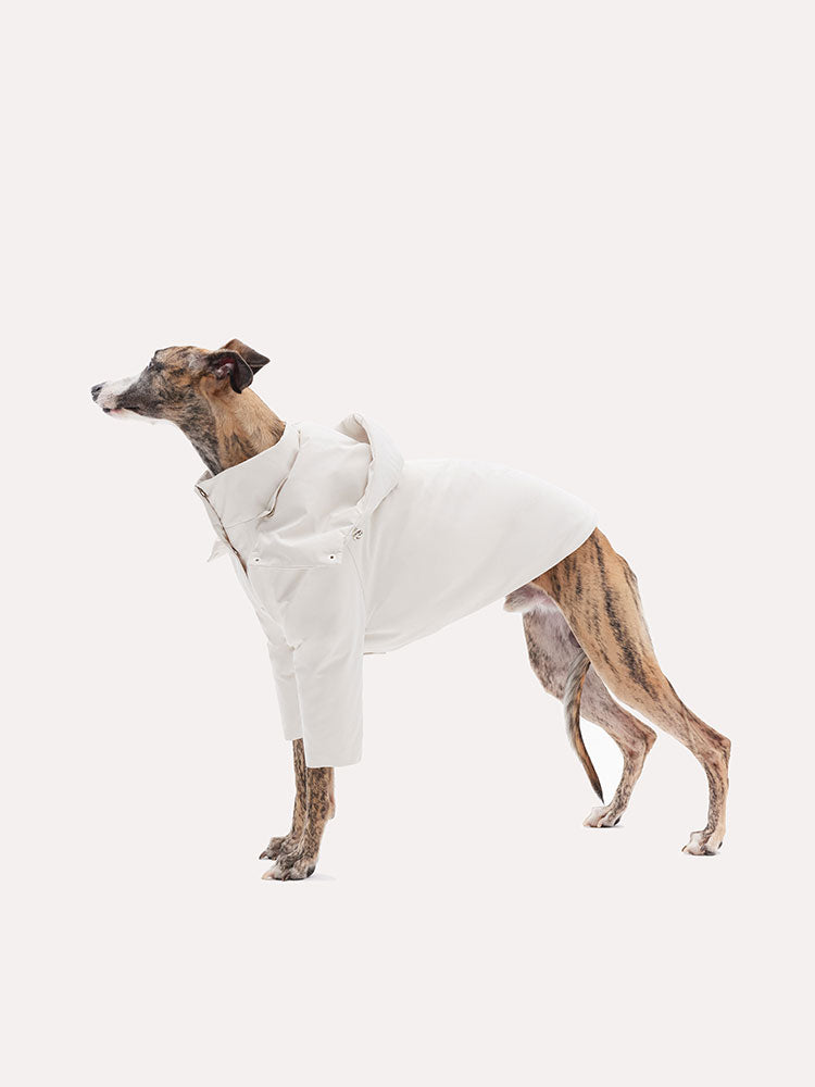 Detachable Hood Winter Dog Warm Jacket - VOF