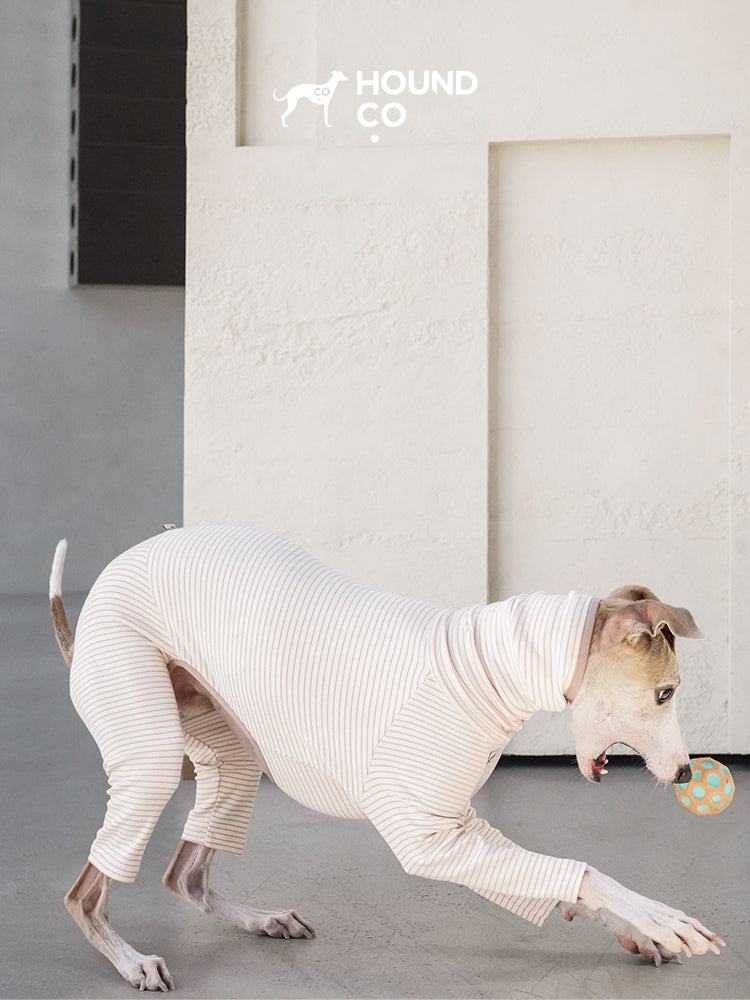 Strips Dog Pajama