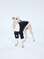 Dog Biker Jacket