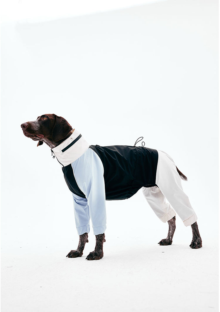 Four-Leg Dog Raincoat - VOF