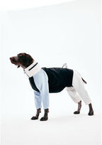 Four-Leg Dog Raincoat - VOF
