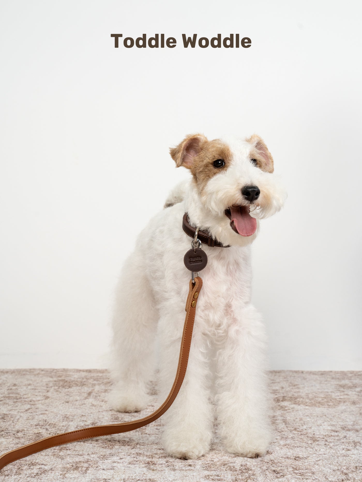 Leather Dog Leash - VOF