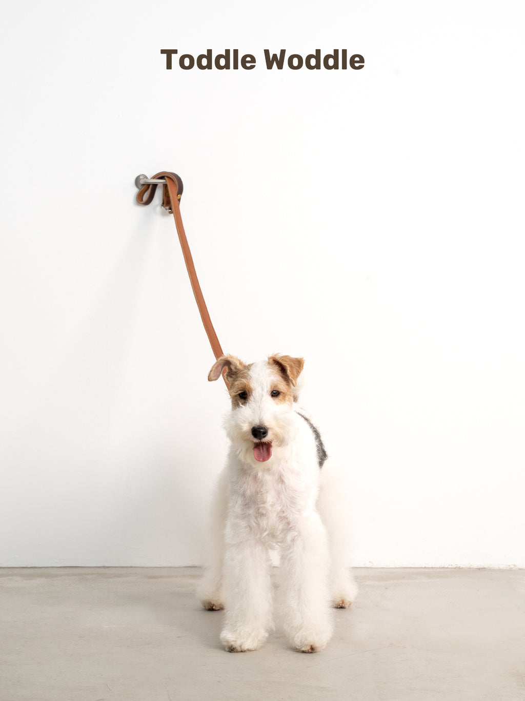 Leather Dog Leash - VOF