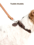 Leather Dog Leash - VOF
