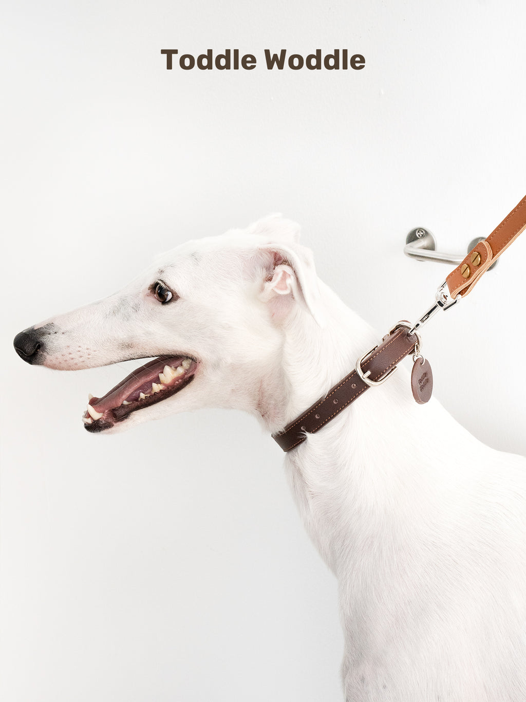 Leather Dog Leash - VOF