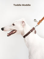 Leather Dog Leash - VOF
