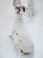 Strips Dog Pajama - VOF