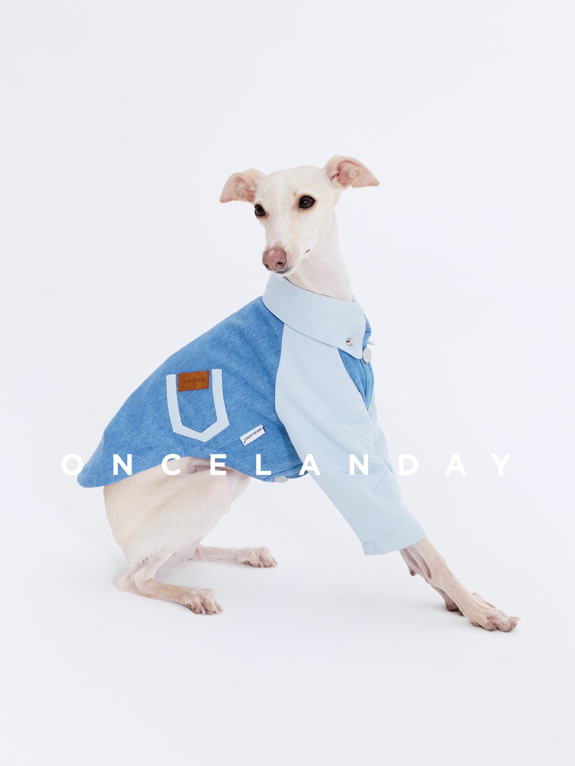 Oncelanday dog denim shirt featuring classic blue denim fabric and button-front design, perfect for stylish pet wear.