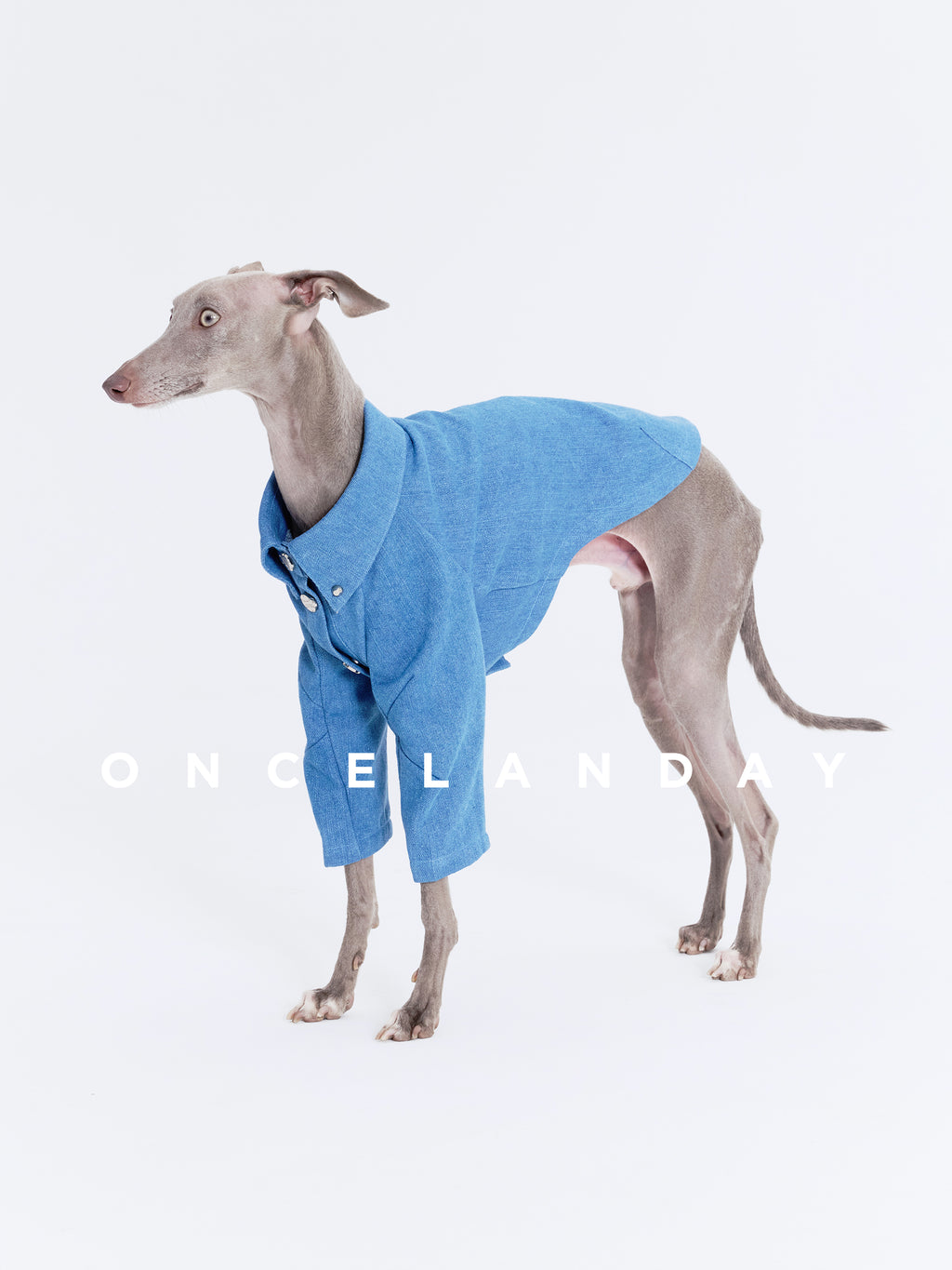 Oncelanday dog denim shirt featuring a classic blue denim design and button-up front, perfect for stylish canine outfits.