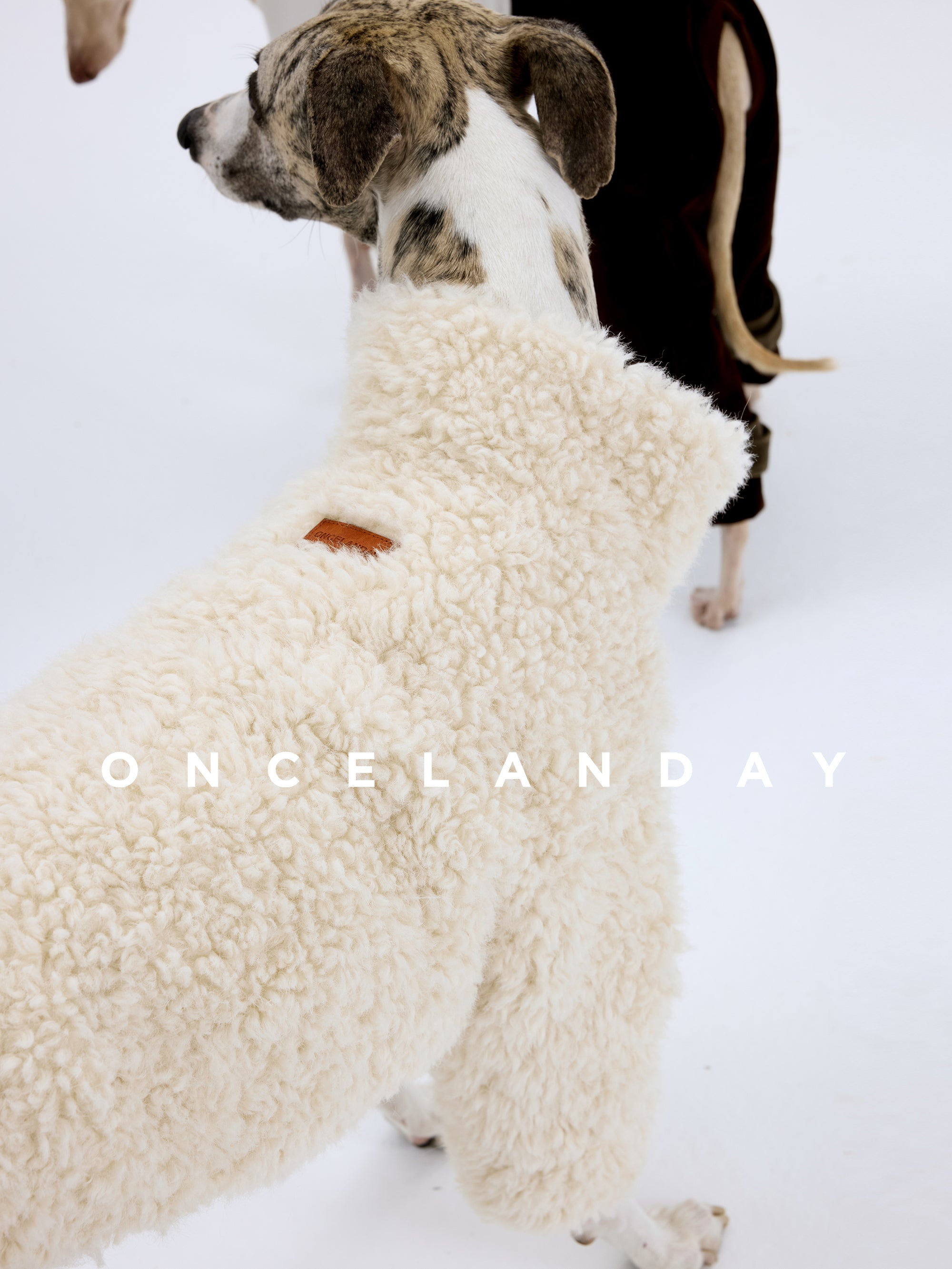 Shearling Dog Jacket