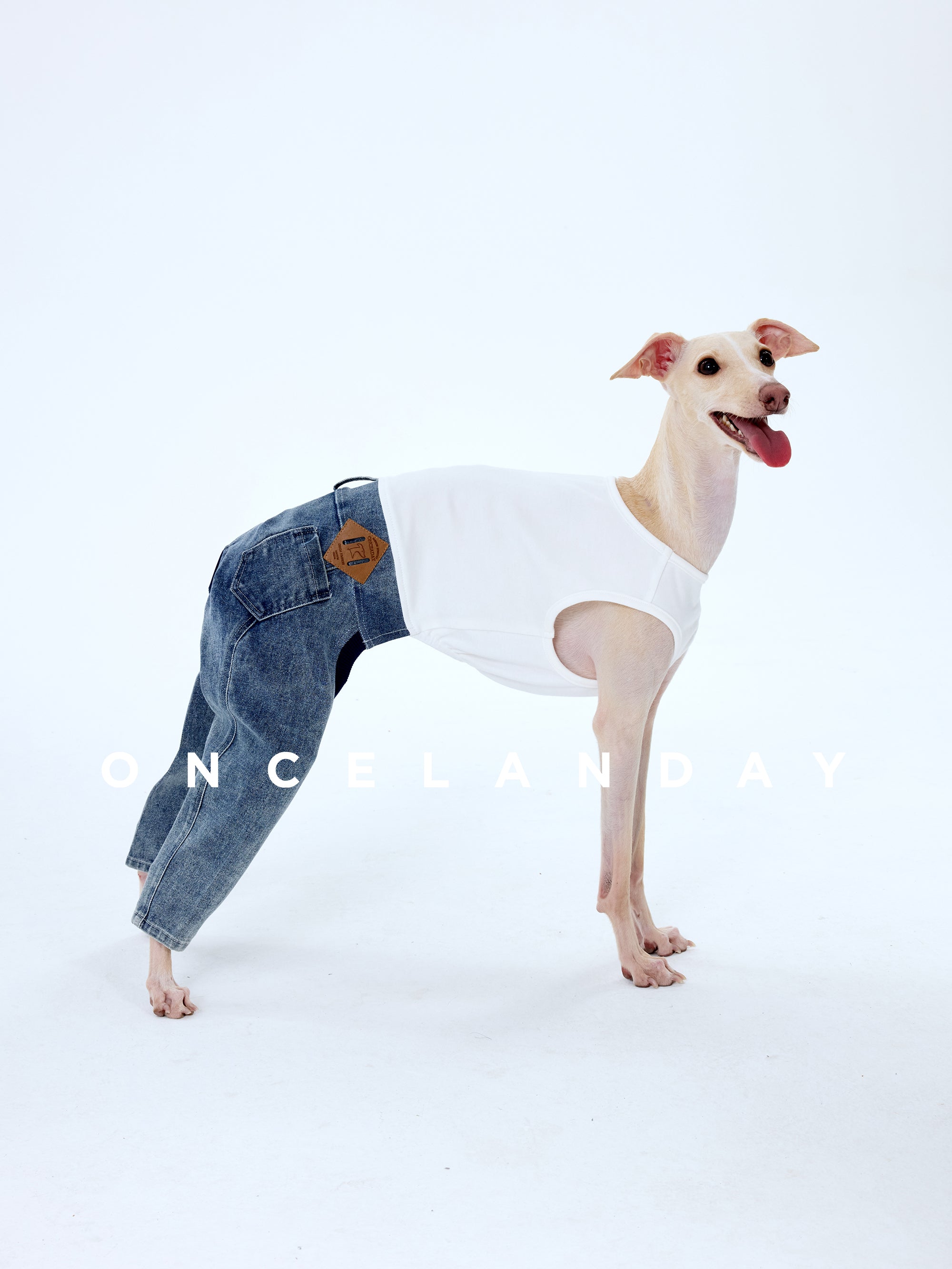 Dog Jeans