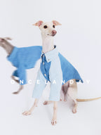 Oncelanday dog denim shirt with button closure, featuring classic blue denim fabric and stylish design for small pets.