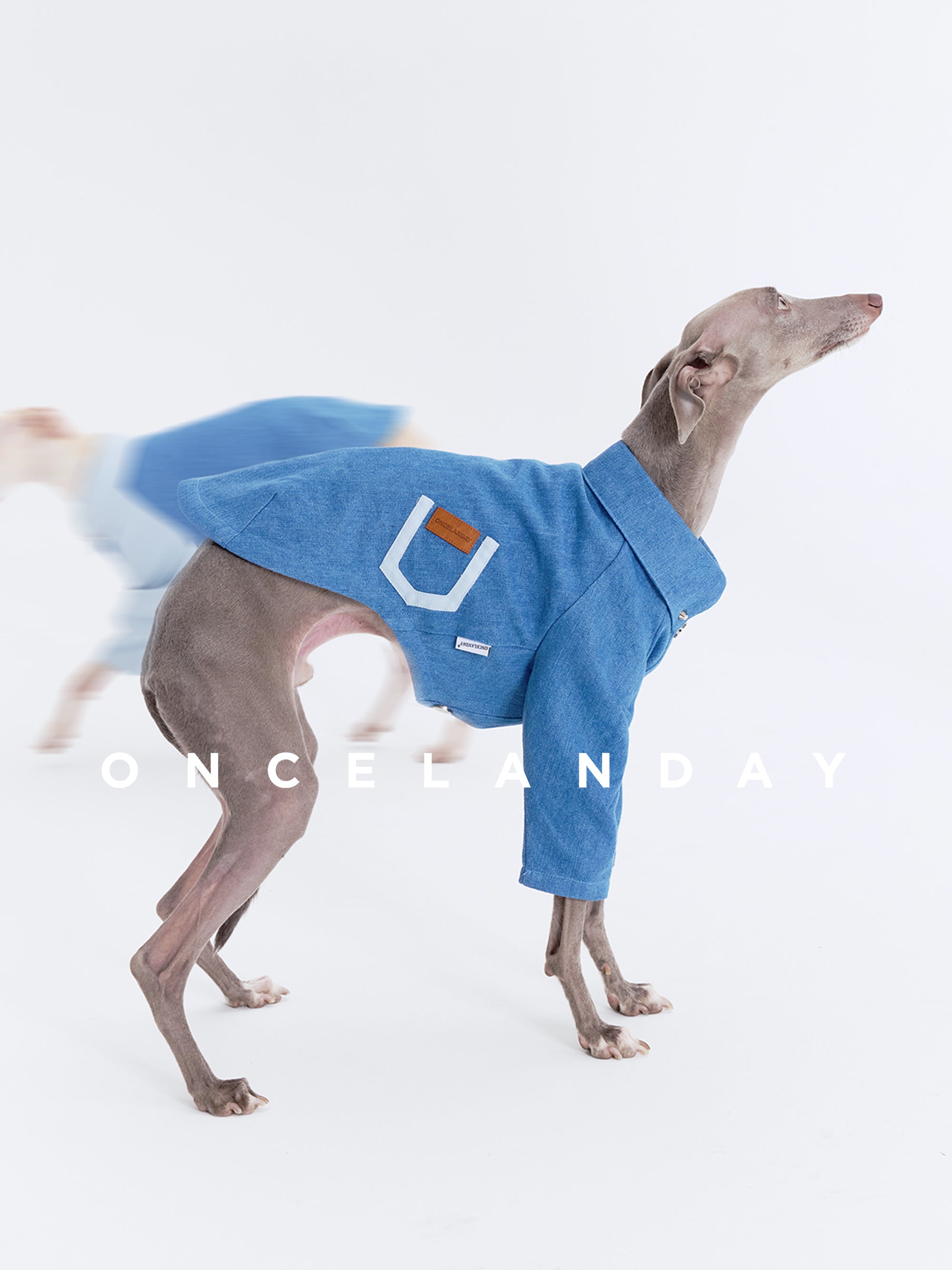 Oncelanday dog denim shirt featuring a classic blue denim design and button closure, perfect for stylish pet wear.