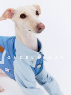 Oncelanday dog denim shirt with classic blue denim fabric and button details, perfect for stylish canine outfits.