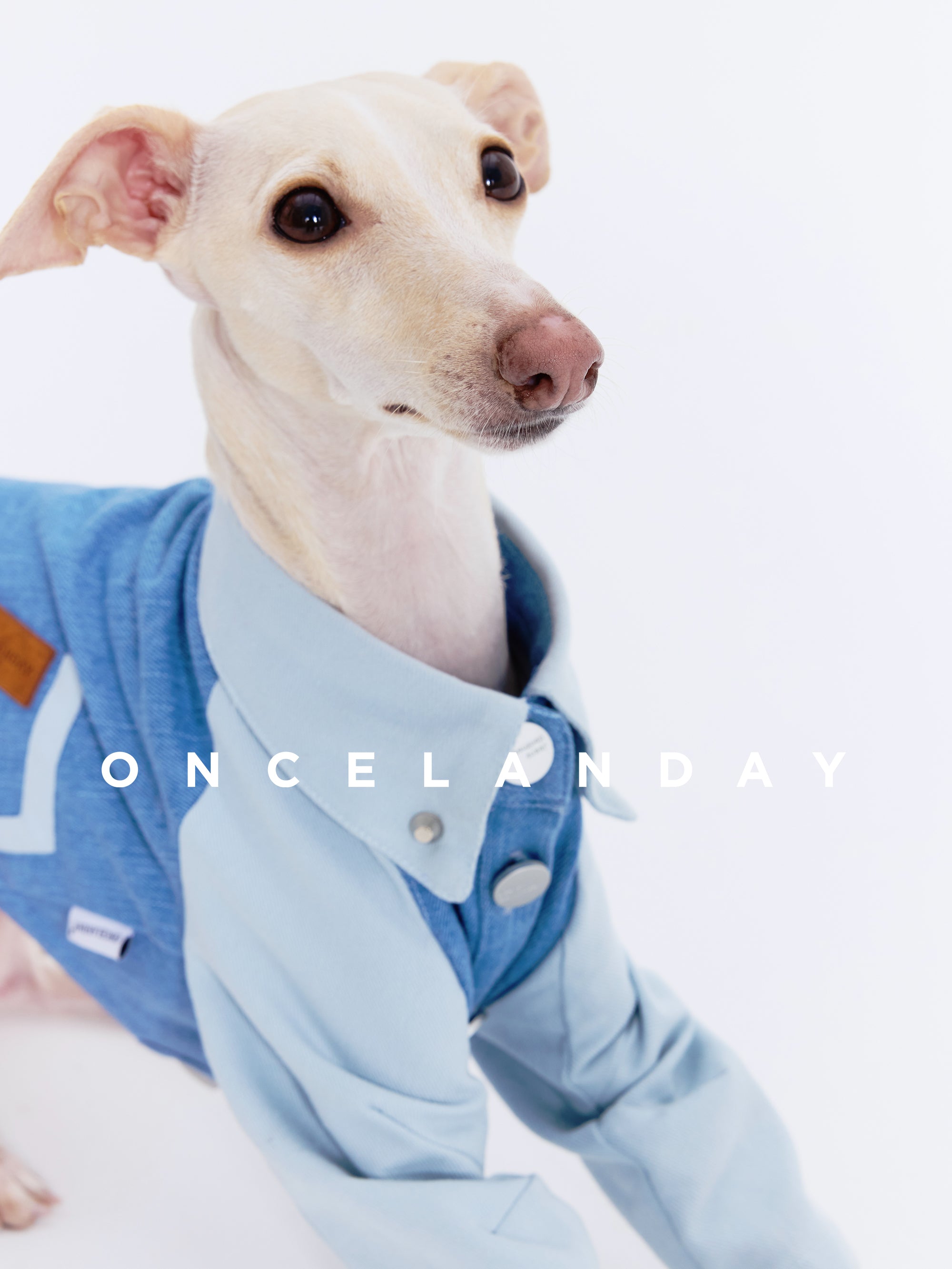 Oncelanday dog denim shirt with classic blue denim fabric and button details, perfect for stylish canine outfits.