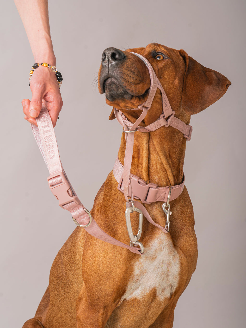 Pink short dog leash by GENTLEBEAST displayed on a neutral background, showcasing its sturdy clasp and comfortable grip.