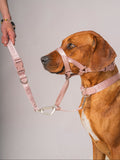 Pink short leash for dogs by GENTLEBEAST, featuring a sturdy clip and comfortable grip, perfect for walks.