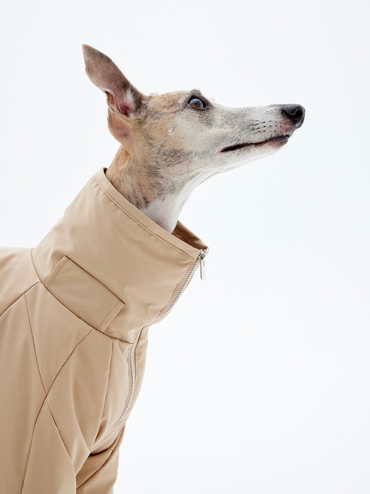 KNOWZA dog puffer suit in vibrant color, featuring a stylish design and comfortable fit for small to medium dogs.