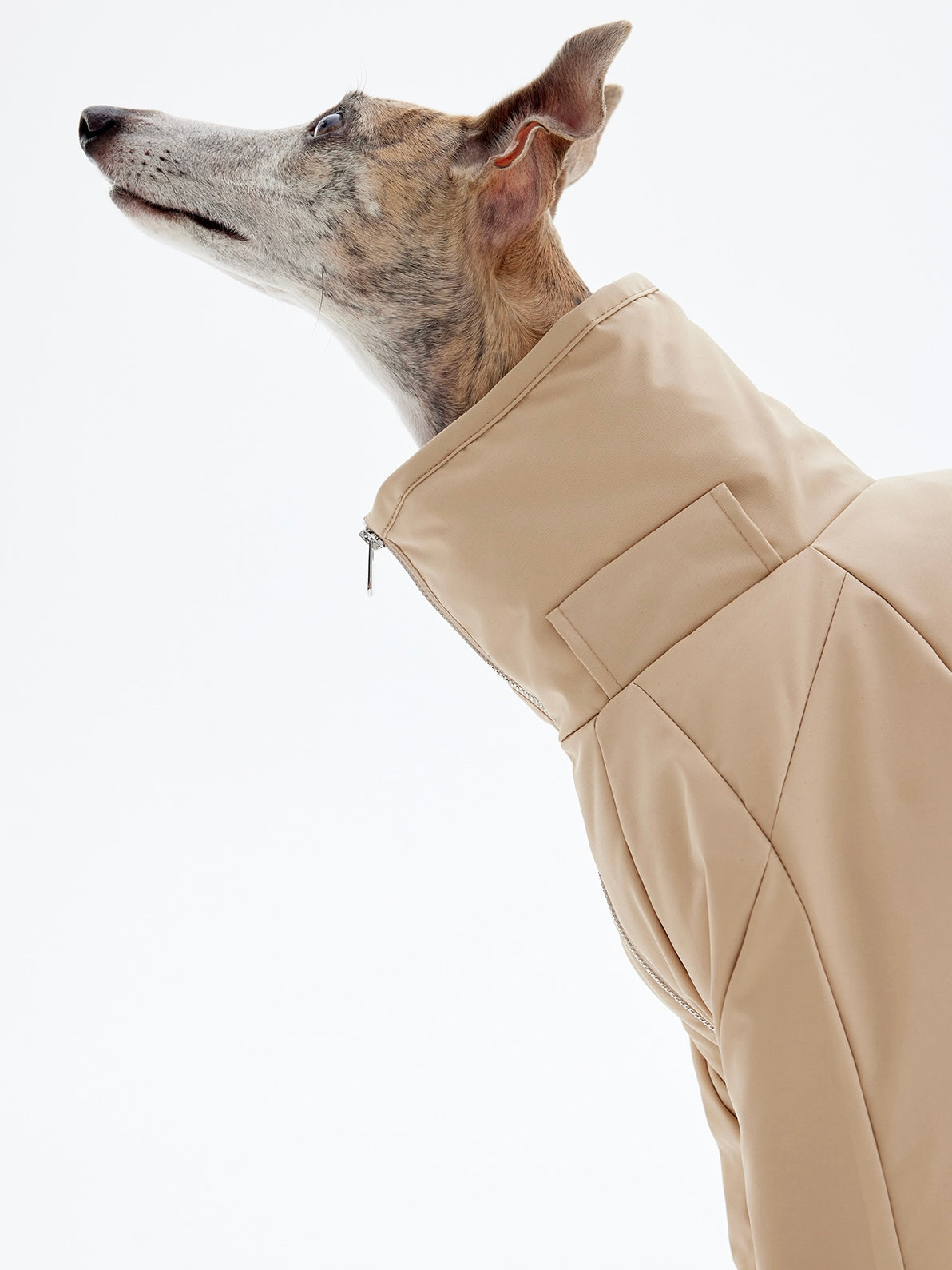 KNOWZA dog puffer suit in vibrant color, showcasing soft material and insulated design for warmth in cold weather.