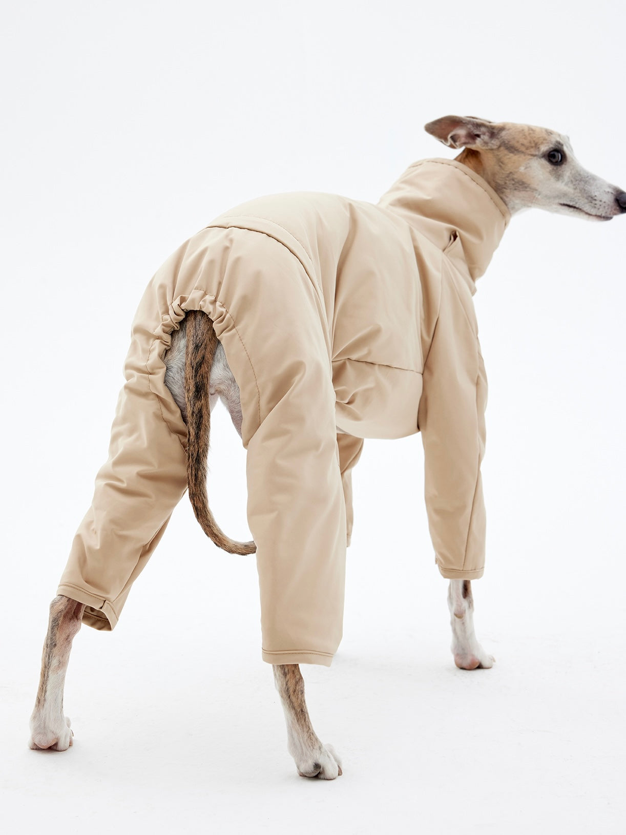 KNOWZA dog puffer suit in blue, showcasing a cozy and stylish design for winter outdoor adventures.