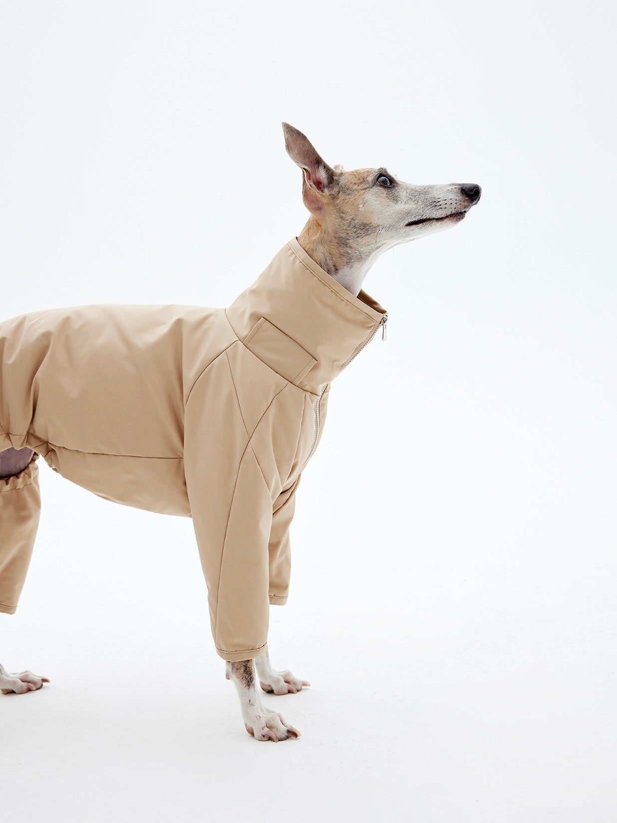 KNOWZA dog puffer suit in vibrant color, showcasing a cozy, insulated design for winter warmth and comfort.