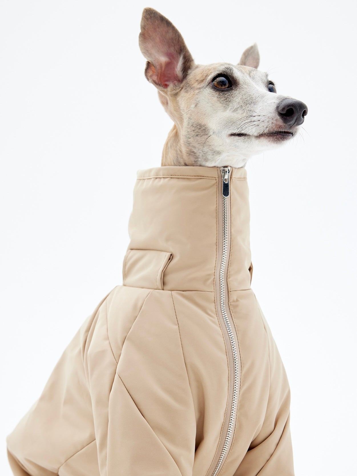 KNOWZA dog puffer suit in bright blue, featuring a cozy, insulated design with a hood for cold weather protection.