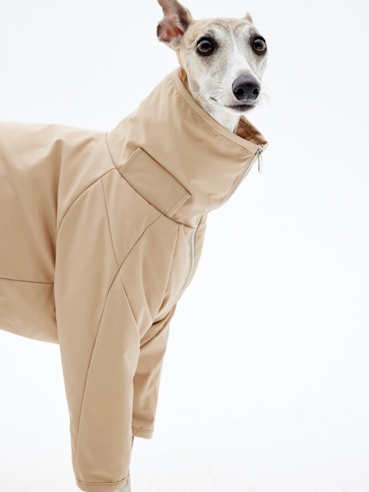 KNOWZA dog puffer suit in vibrant color, showcasing a cozy, insulated design for winter pet protection.