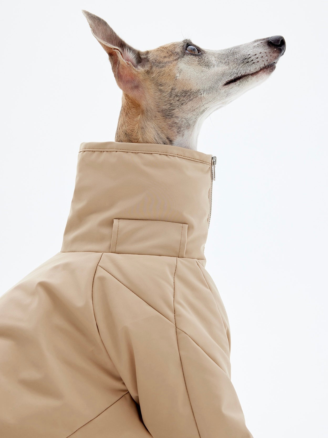 KNOWZA dog puffer suit in bright color, showcasing puffy insulation and a secure fit for cold weather protection.