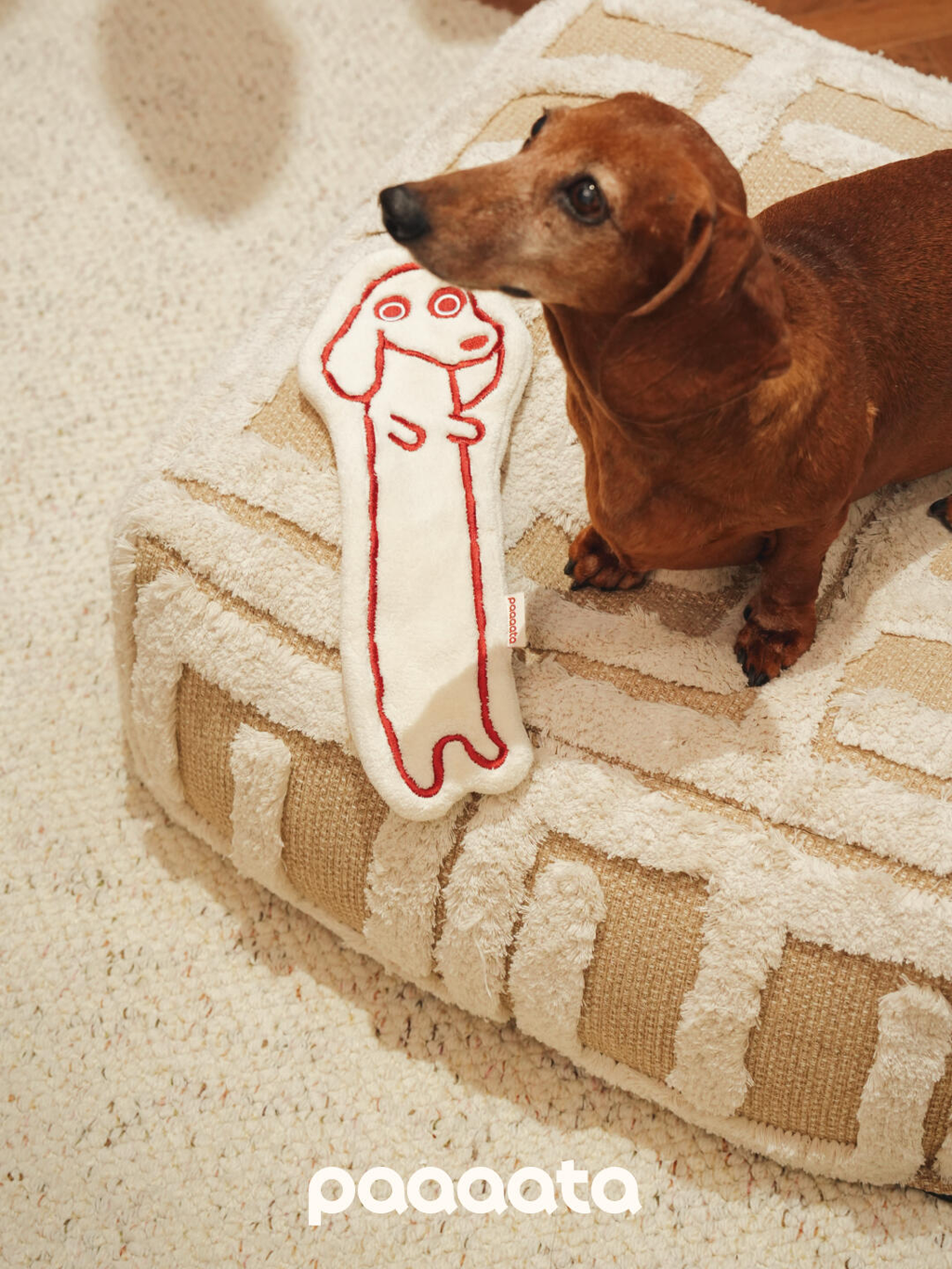 Coral Fleece Quick Dry Hand Towel - VOF