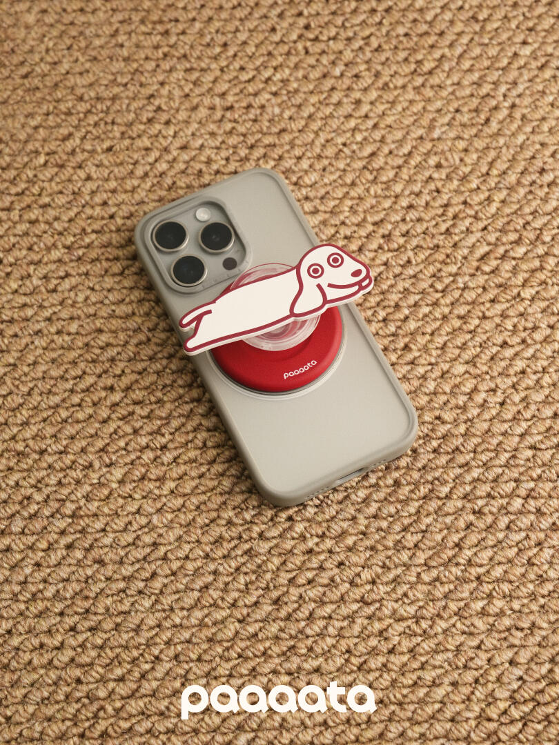 MageSafe iPhone Grip