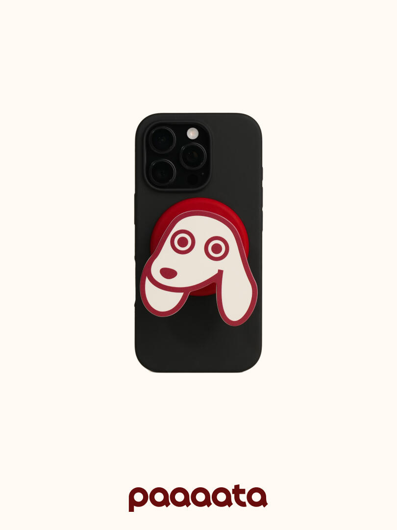 MageSafe iPhone Grip