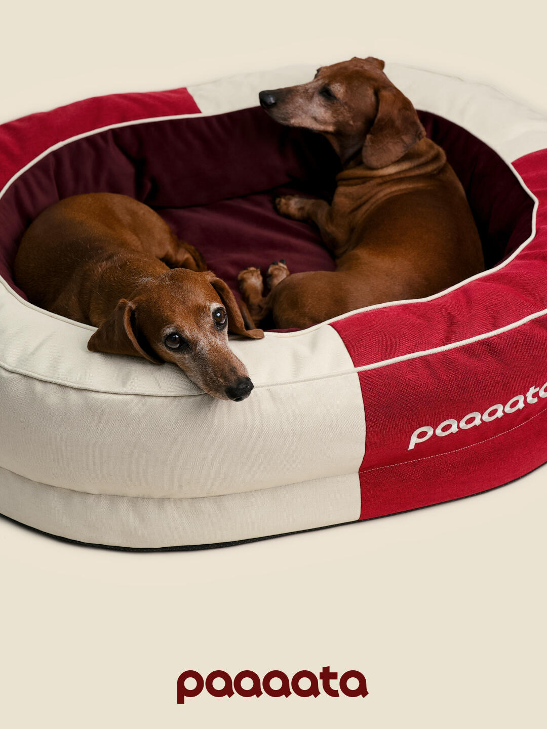 Pet Bed