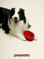 Collapsible Silicone Pet Bowl - VOF