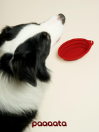 Collapsible Silicone Pet Bowl - VOF