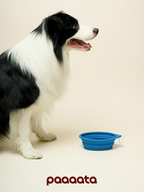 Collapsible Silicone Pet Bowl - VOF